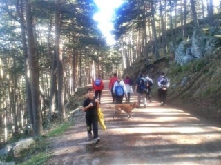Along the path